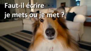 Je mets ou je met ?