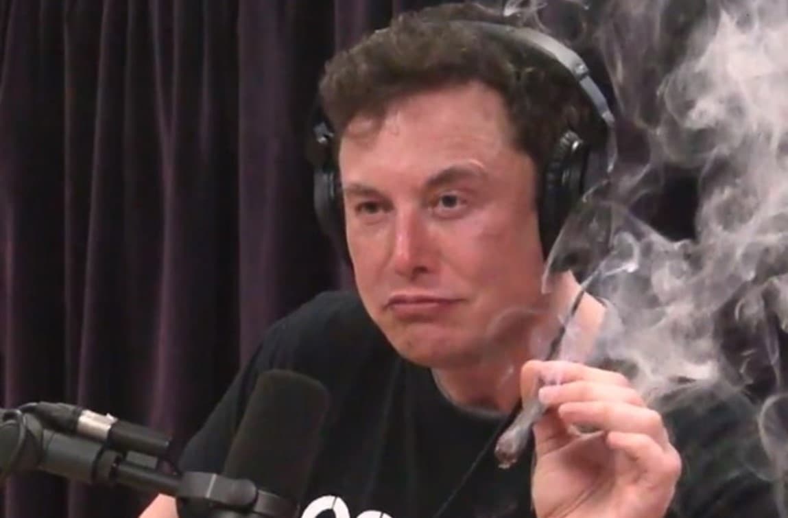 Илон маск свинья. Илон Маск курит. Илон Маск курит фото. Elon Musk курит. Элон Маск с косяком.
