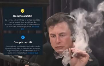 Certification Twitter avec photo d'Elon Musk