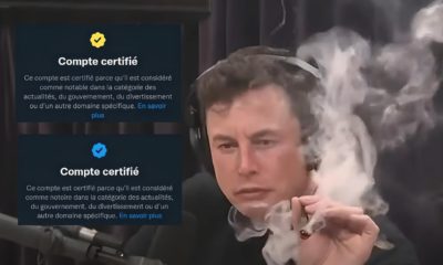 Certification Twitter avec photo d'Elon Musk