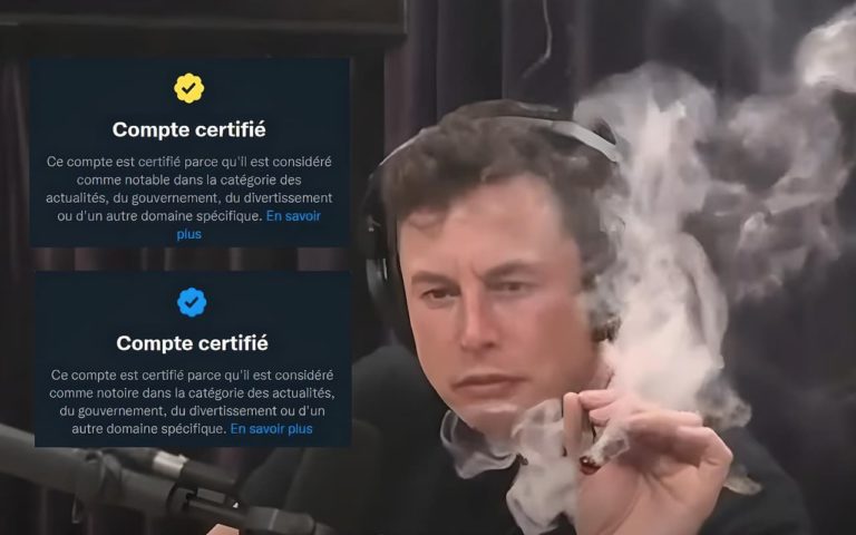 Certification Twitter avec photo d'Elon Musk