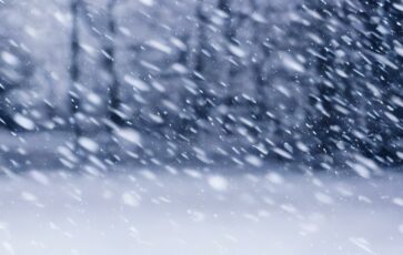 Neige qui tombe