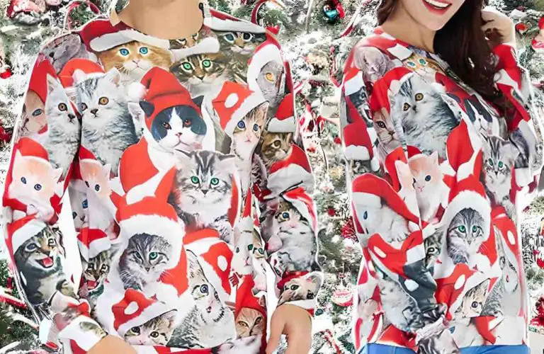 Pull de Noel avec des chats