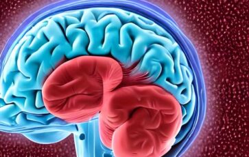 Image d'un cerveau humain et d'une zone