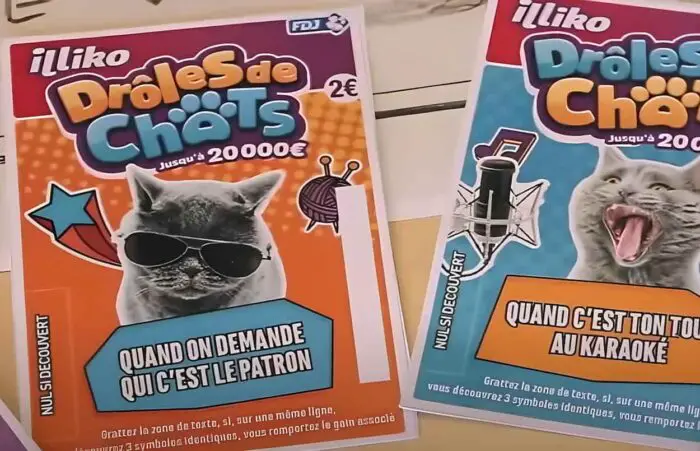 Jeu à gratter drôles de chats