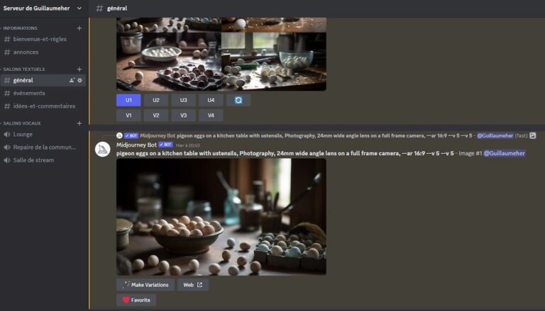 Mon propre serveur sur avec Midjourney ajouté