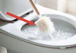 Brosse toilette