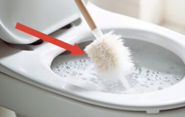 Brosse toilette