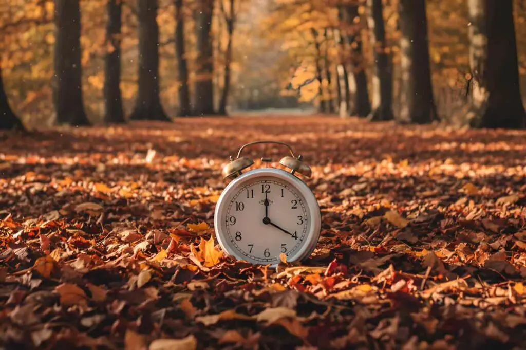 Une horloge rétro blanche sur un tapis de feuilles d'automne proche, entourée d'arbres aux couleurs chaudes de l'automne. La lumière du jour filtre à travers les branches.