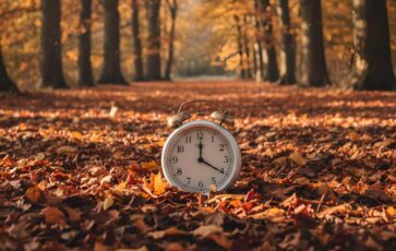 Une horloge rétro blanche sur un tapis de feuilles d'automne proche, entourée d'arbres aux couleurs chaudes de l'automne. La lumière du jour filtre à travers les branches.